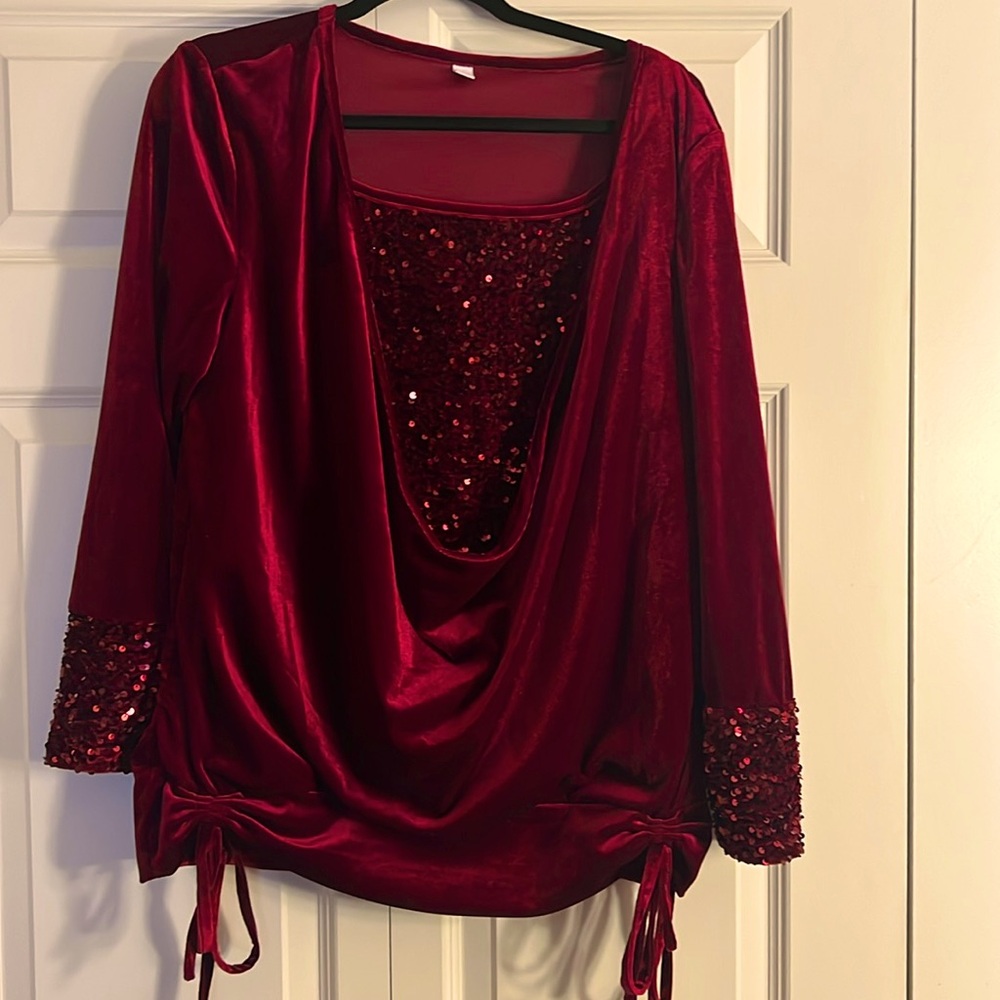 Brand new women's velvet embellished top. Absolutely stunning blouse. Size L.